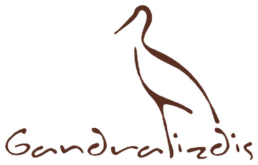 Gandralizdis